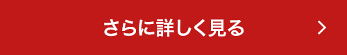 さらに詳しく見る