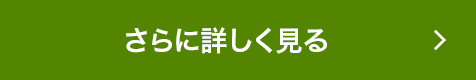 さらに詳しく見る