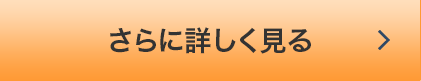 さらに詳しく見る